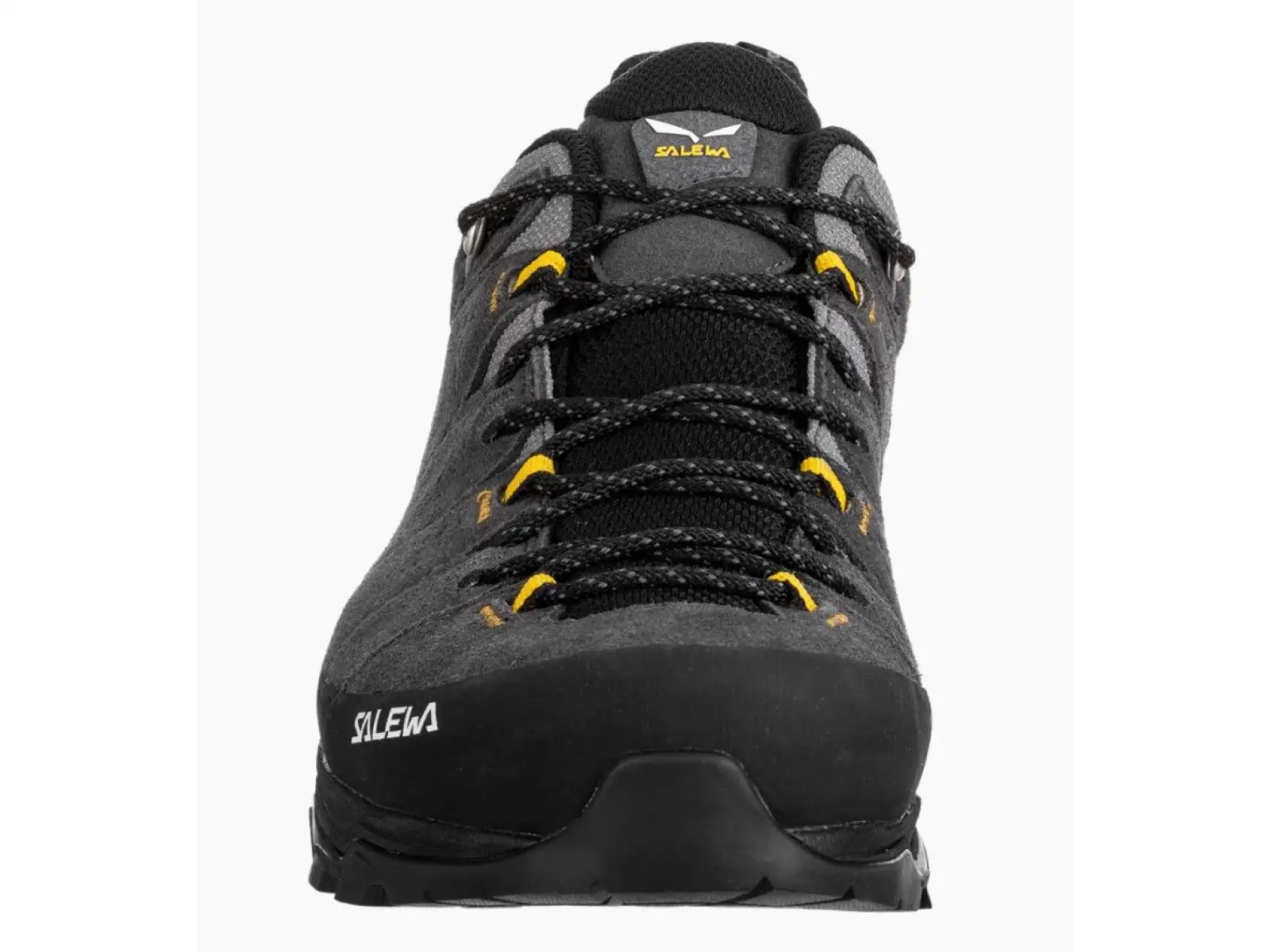 Salewa Alp Trainer 2 GTX men's shoes Onyx Black