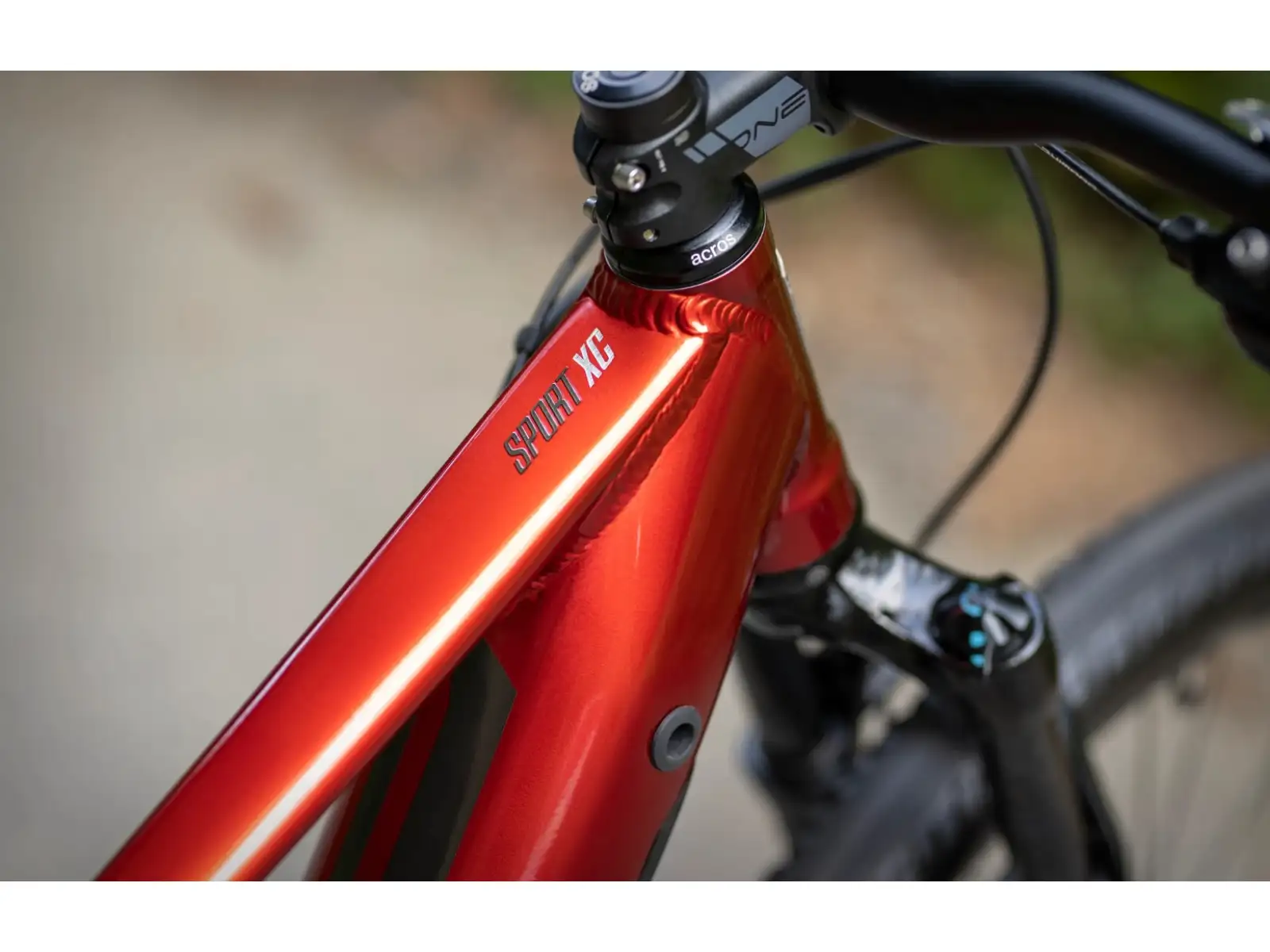 Superior eXC 7019 B mountain e-bike Gloss Dark Red/Chrome Silver