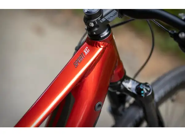 Superior eXC 7019 B mountain e-bike Gloss Dark Red/Chrome Silver