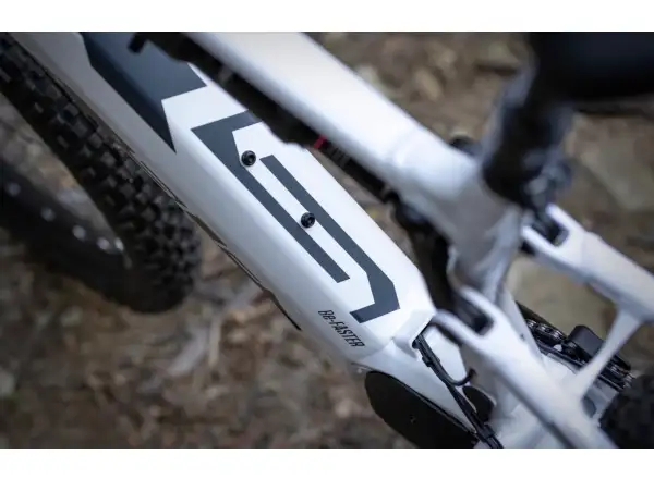 Superior eXF 9039 full-suspension e-bike Gloss White/Chrome Silver