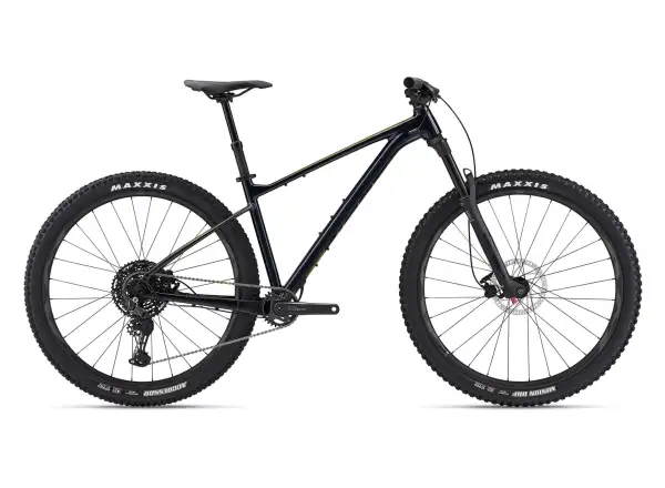 Giant Fathom 29 2 mountain bike Cold Night