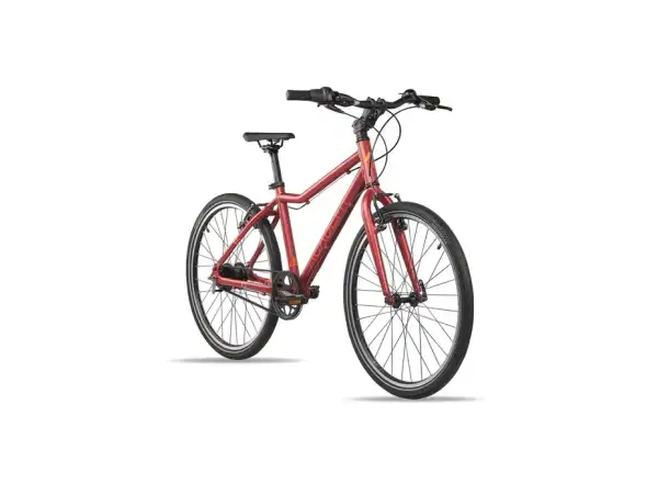 Academy Grade 5 Belt children's bike 24" red