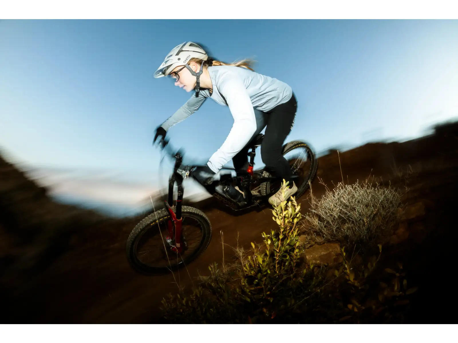 Cannondale Bad Habit 1 mountain bike RAW Carbon