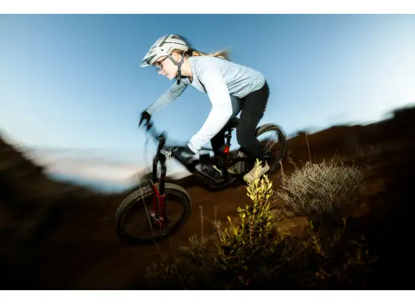 Cannondale Bad Habit 1 mountain bike RAW Carbon
