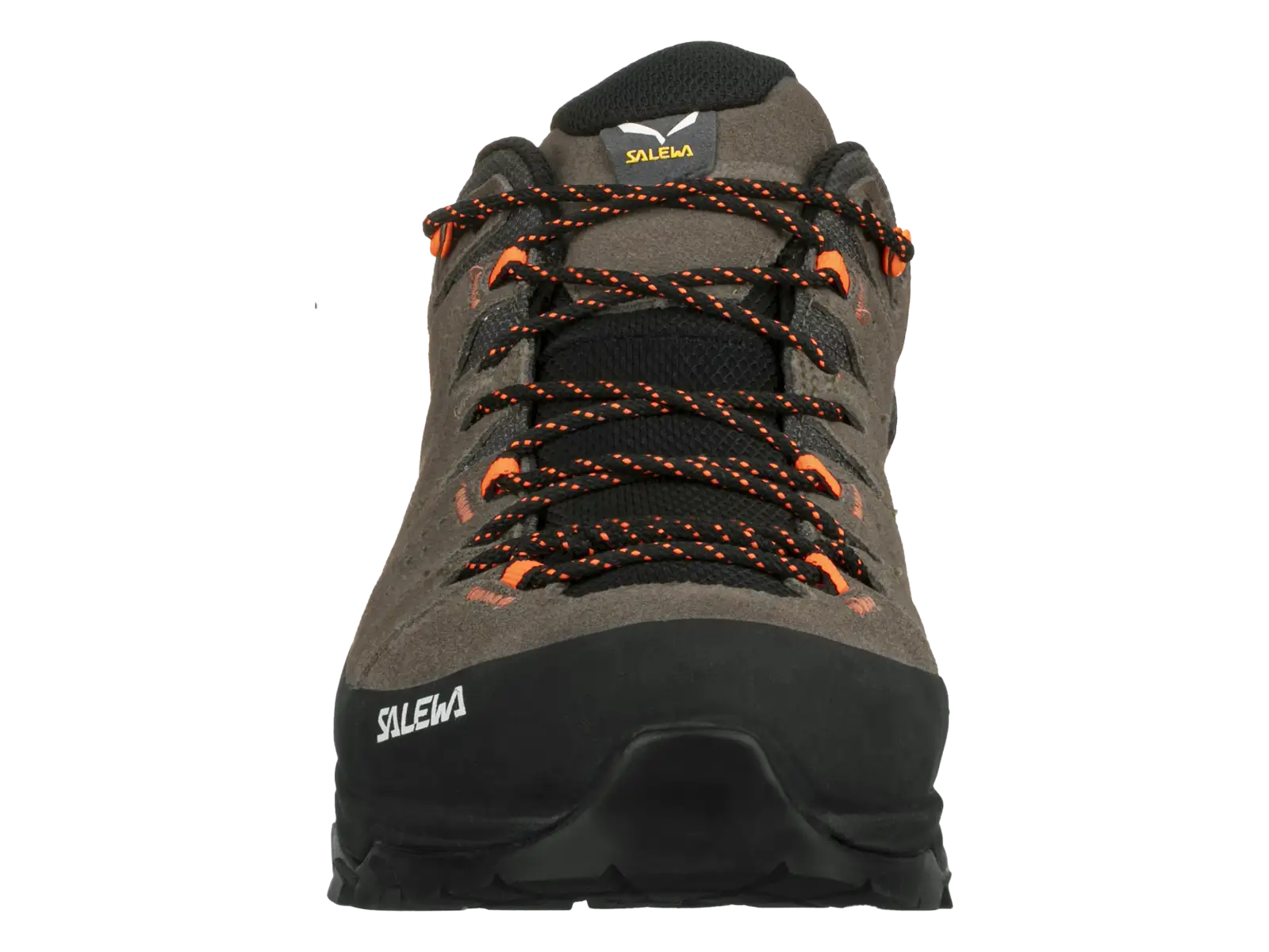Salewa Alp Trainer 2 GTX men's shoes Bungee Cord/Black