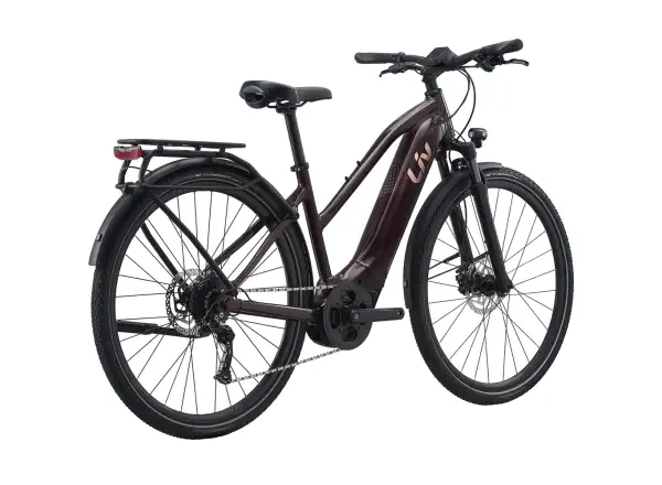 Liv Amiti E+2 trekking e-bike rosewood