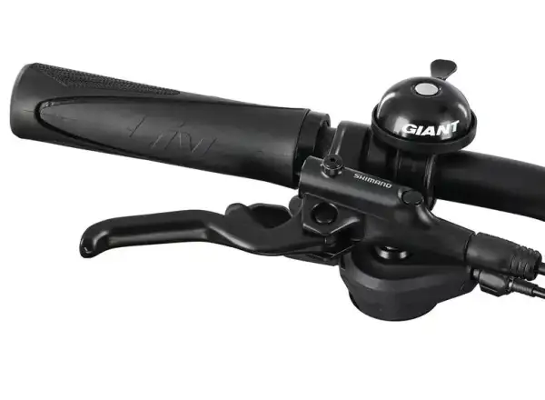 Liv Rove 1 DD women's trekking bike Dark Eclipse