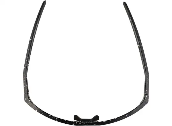 Alpina Ram HR Q-Lite glasses Black/Blur Matt