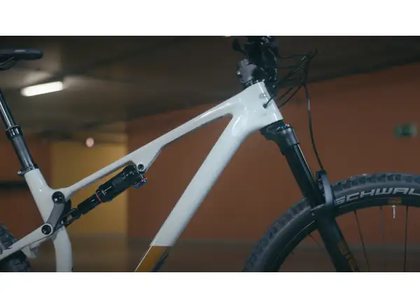 Superior XF 929 TR mountain bike Gloss Grey/Copper