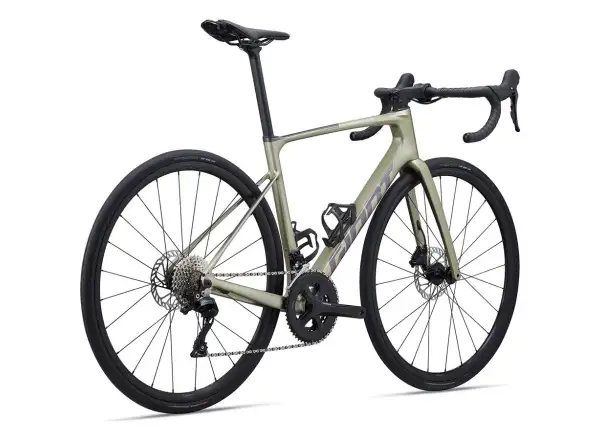 Giant Defy Advanced 2 road bike bay leaf