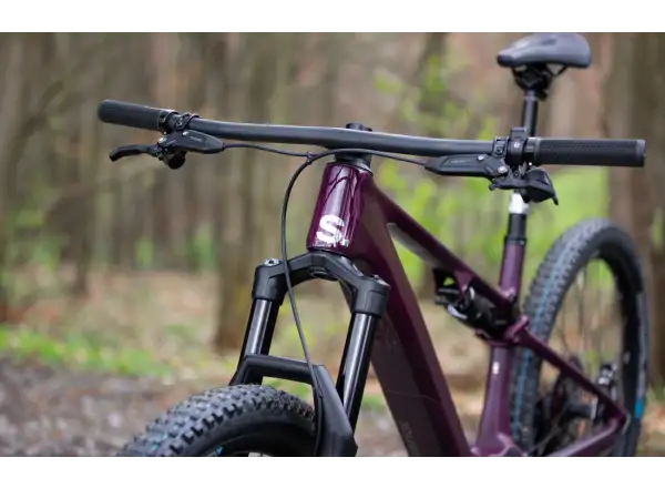 Superior iXF 9.8 mountain e-bike matte berry carbon
