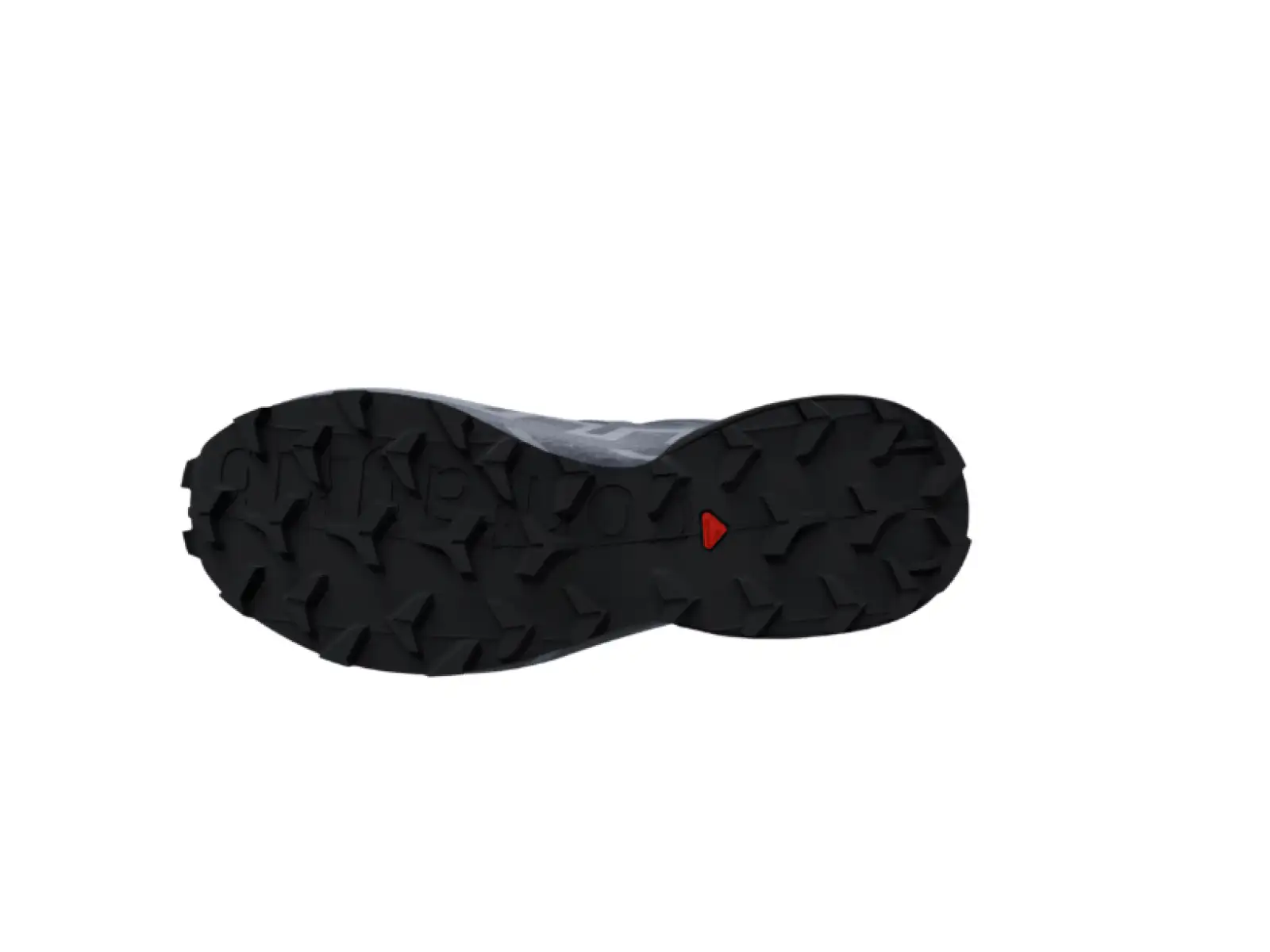 Salomon Speedcross 6 GTX men's running shoes Spellb/Black/Trade