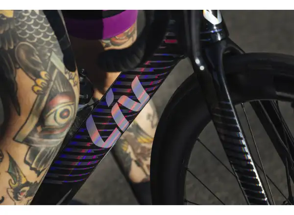 Liv EnviLiv Advanced Pro women's road bike Carbon