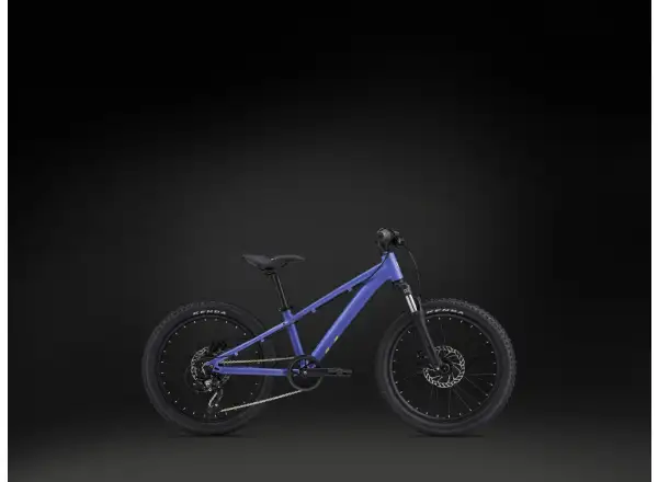 Giant STP 20 FS Liv children's bike Dusted Peri