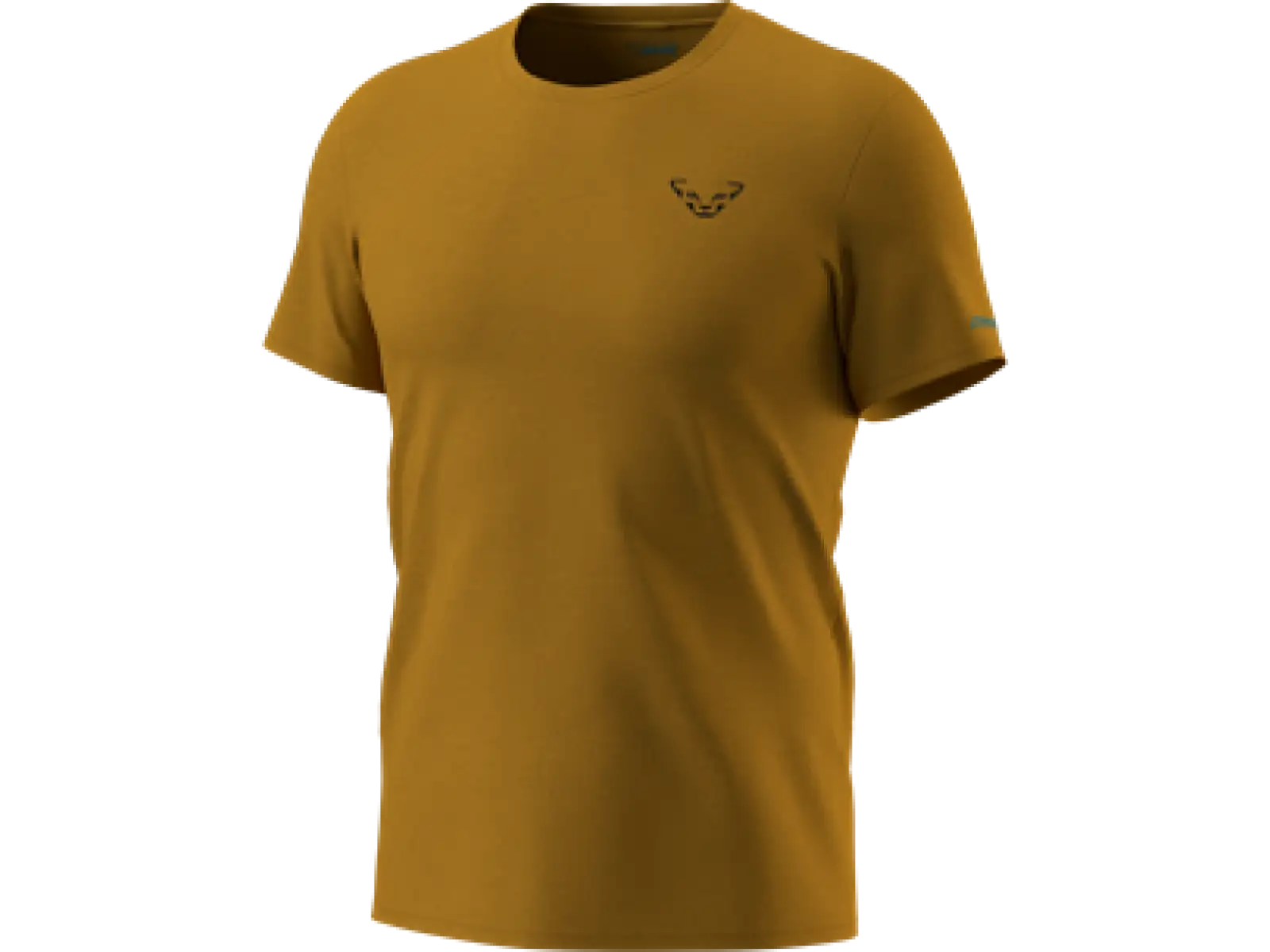 Dynafit 24/7 Graphic men's T-shirt Relic/Striped Elevation