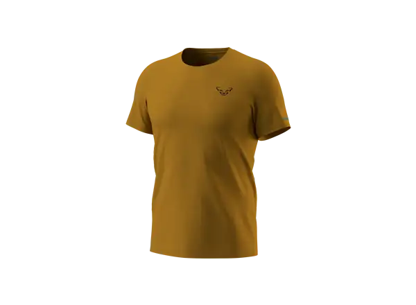 Dynafit 24/7 Graphic men's T-shirt Relic/Striped Elevation