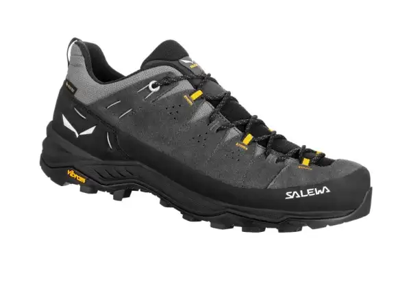 Salewa Alp Trainer 2 GTX men's shoes Onyx Black