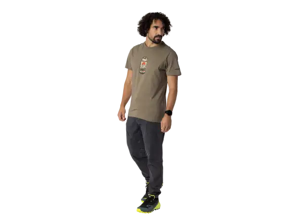Dynafit Graphic Cotton men's T-shirt short sleeve Fallen Rock/Beer Can