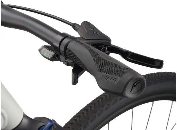 Giant Roam 3 Disc Metal trekking bike