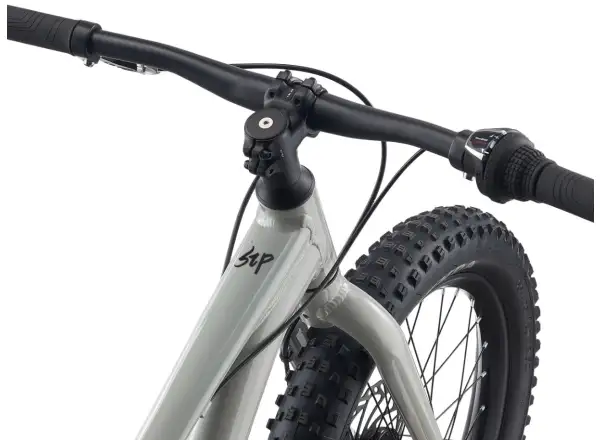 Giant STP 20 children's bike Concrete