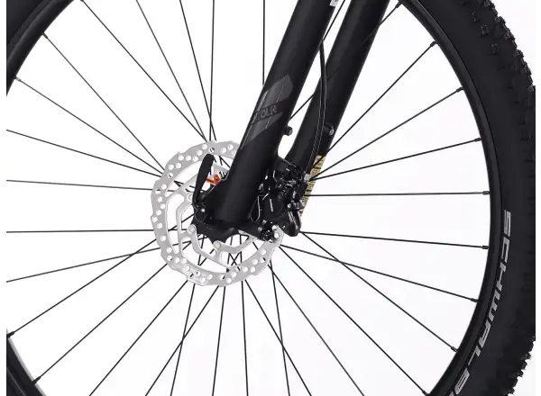 Superior XC 6.9 mountain bike Gloss Dust