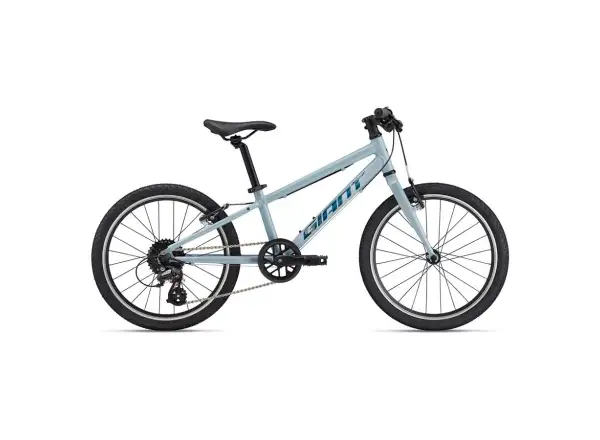 Giant ARX 20 children's bike Soap Suds