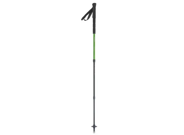 Pinguin Light TL Foam trekking poles green size 66 - 136 cm