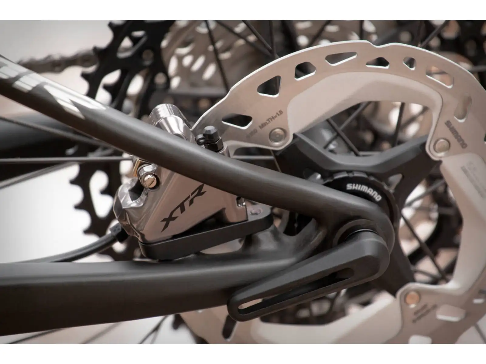 Superior Team XF 29 Issue mountain bike Gloss Carbon/Chrome