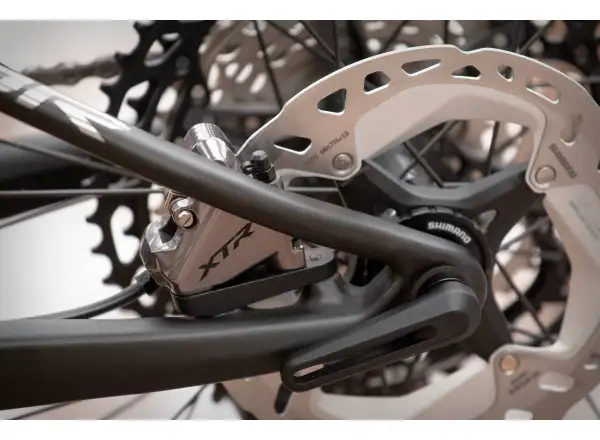 Superior Team XF 29 Issue mountain bike Gloss Carbon/Chrome
