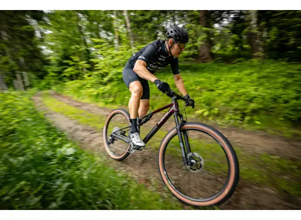 Superior XF 9.9 Team mountain bike Gloss Carbon/Red Carbon