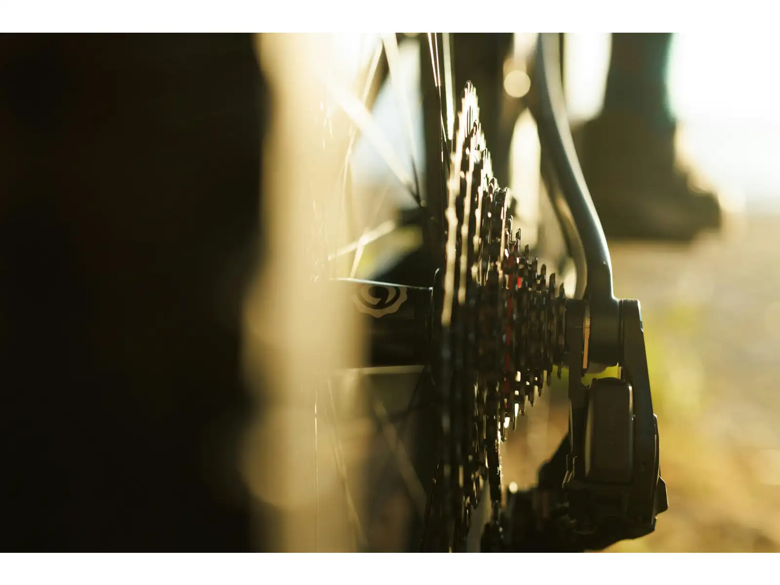 Ibis Ripley V5 Eagle 90 mountain bike Green Flash