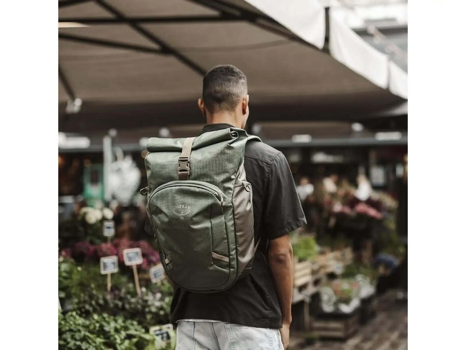 Osprey Transporter Roll Top backpack Euphoria Purple