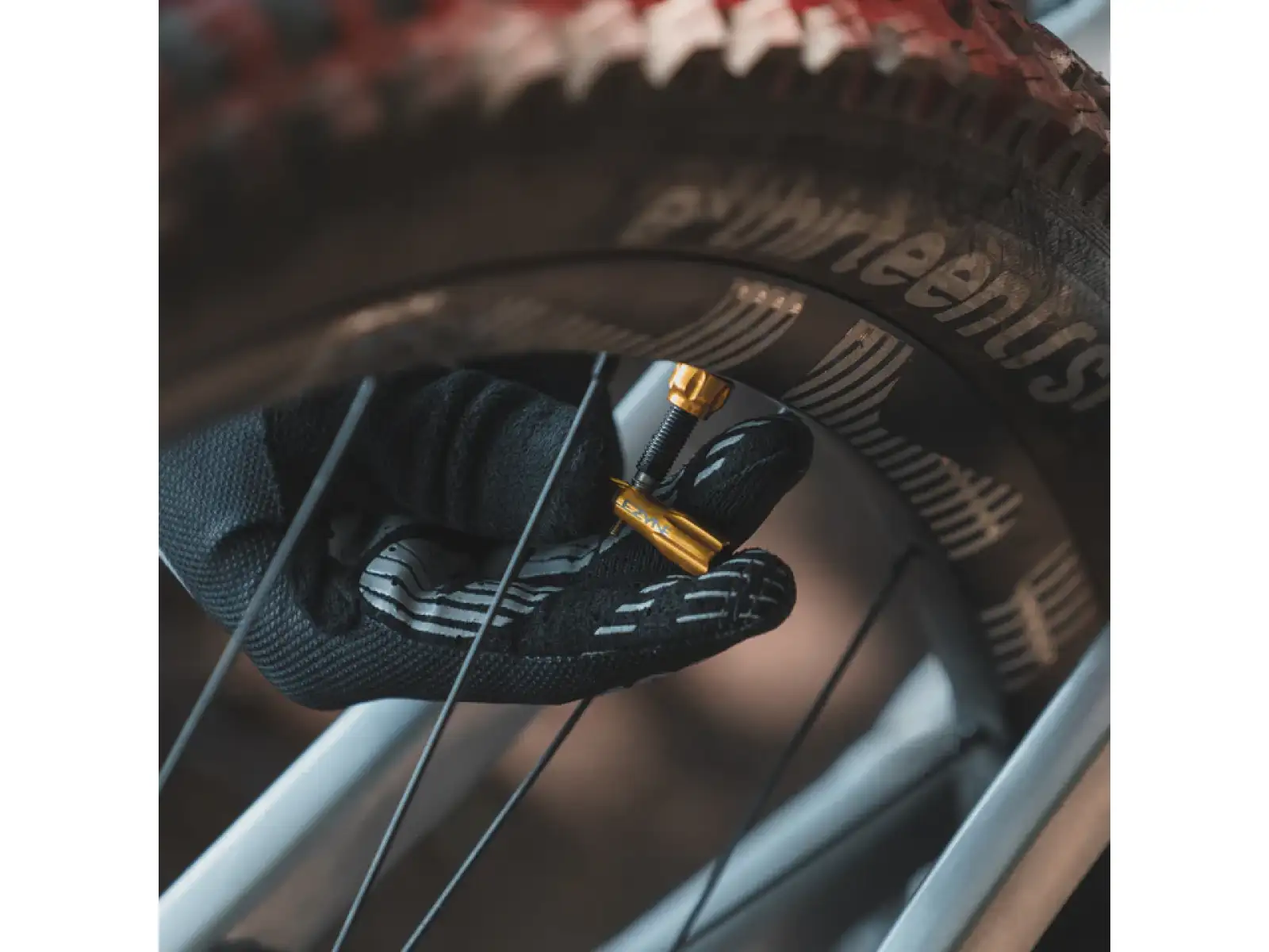 Lezyne CNC TLR valve cap silver