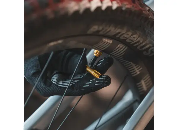 Lezyne CNC TLR valve cap silver
