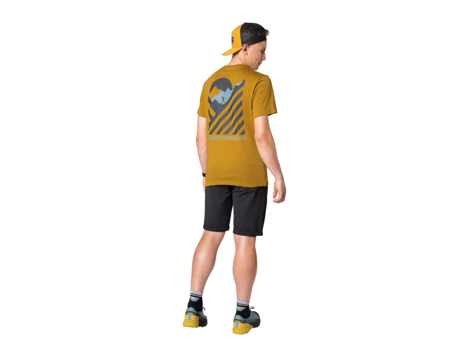 Dynafit 24/7 Graphic men's T-shirt Relic/Striped Elevation