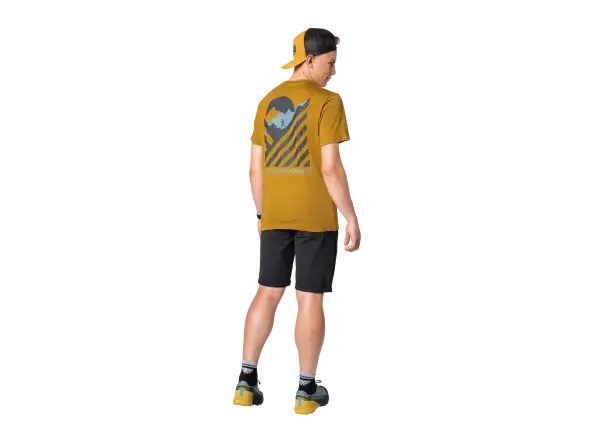 Dynafit 24/7 Graphic men's T-shirt Relic/Striped Elevation