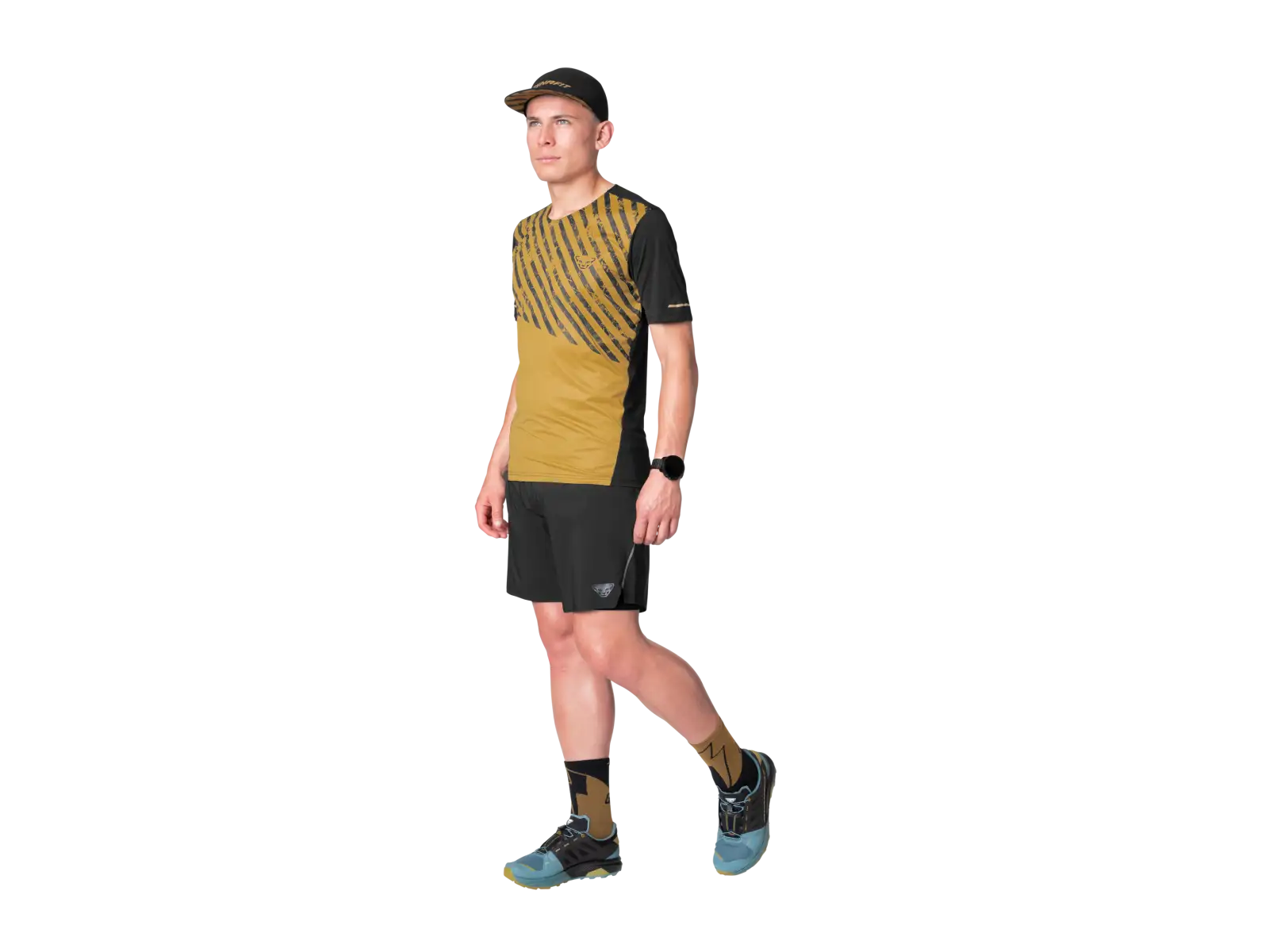 Dynafit Alpine 2 men's T-shirt short sleeve Tobacco