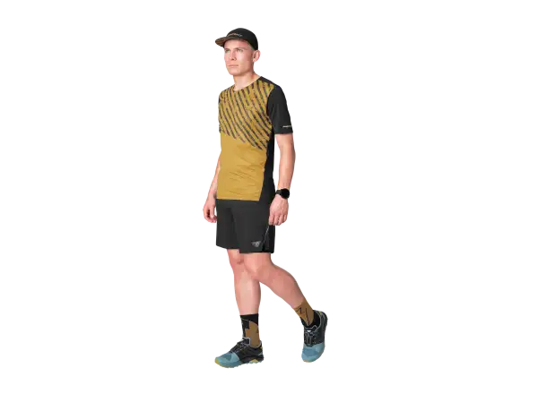 Dynafit Alpine 2 men's T-shirt short sleeve Tobacco