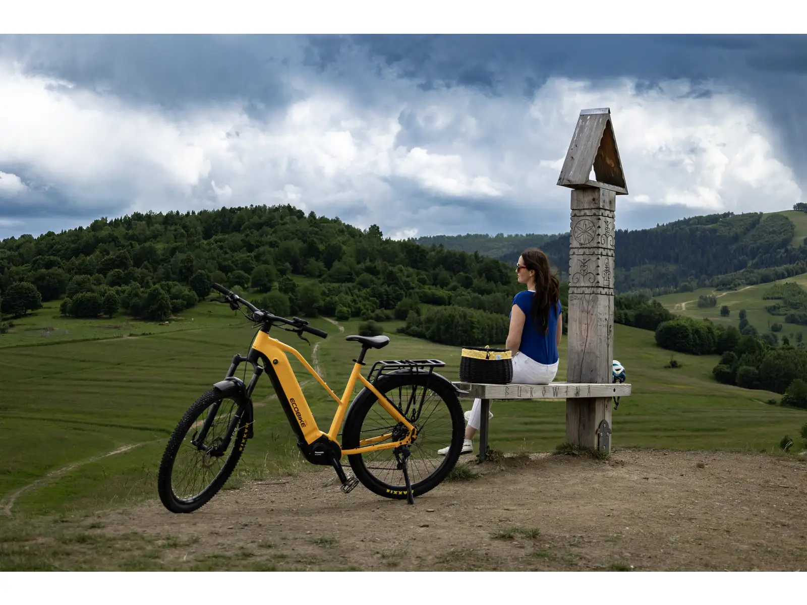 Ecobike Expedition 1080 Wh Yellow SUV trekking e-bike