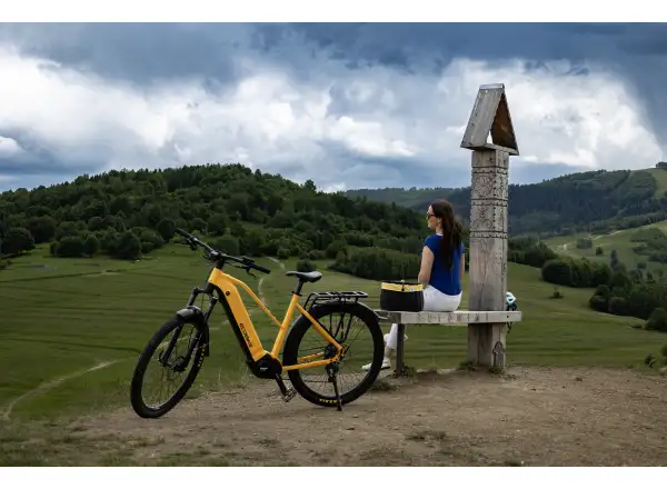 Ecobike Expedition 1080 Wh Yellow SUV trekking e-bike
