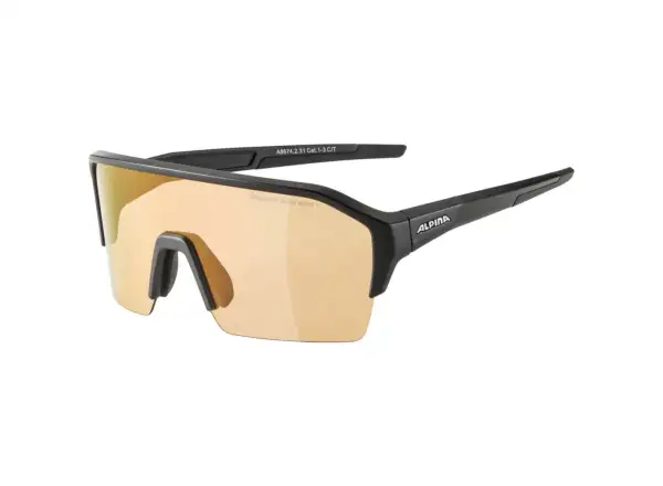 Alpina Ram HR Q-Lite V glasses Black Matt