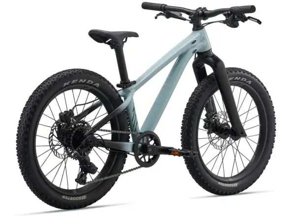 Liv STP 20 kids mountain bike Soap Suds