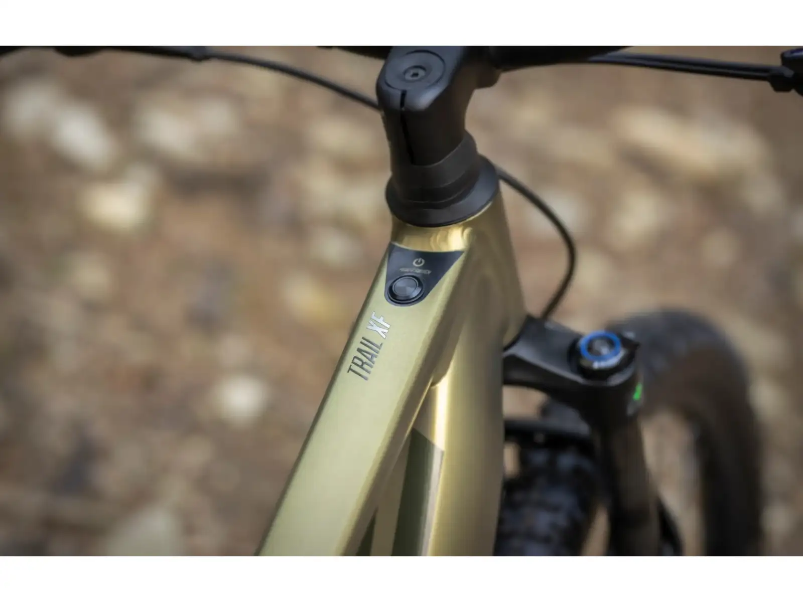 Superior eXF 8089 full-suspension e-bike Matte Olive Metallic/Chrome Silver