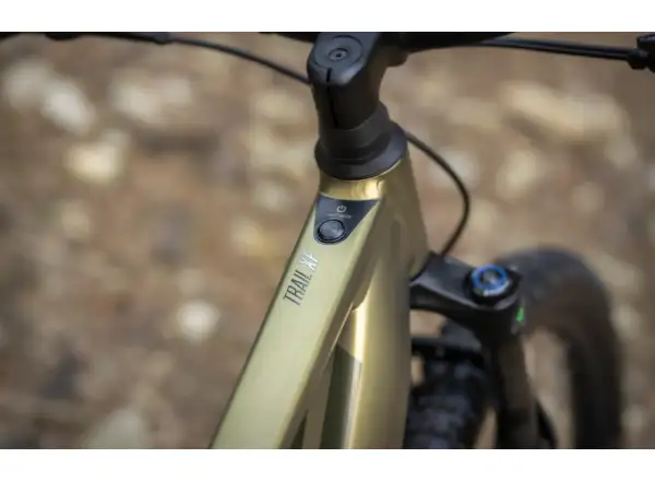 Superior eXF 8089 full-suspension e-bike Matte Olive Metallic/Chrome Silver