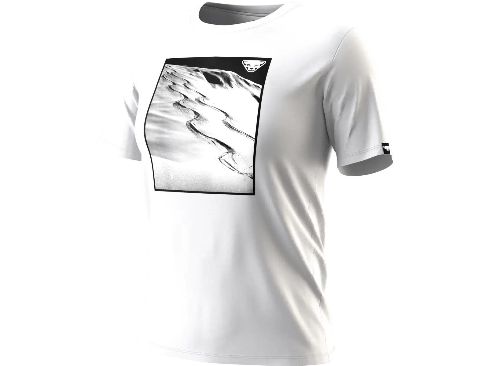 Dynafit Graphic Cotton women's T-shirt short sleeve Cinder/Tabloid