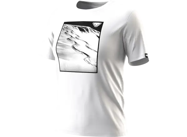 Dynafit Graphic Cotton women's T-shirt short sleeve Cinder/Tabloid