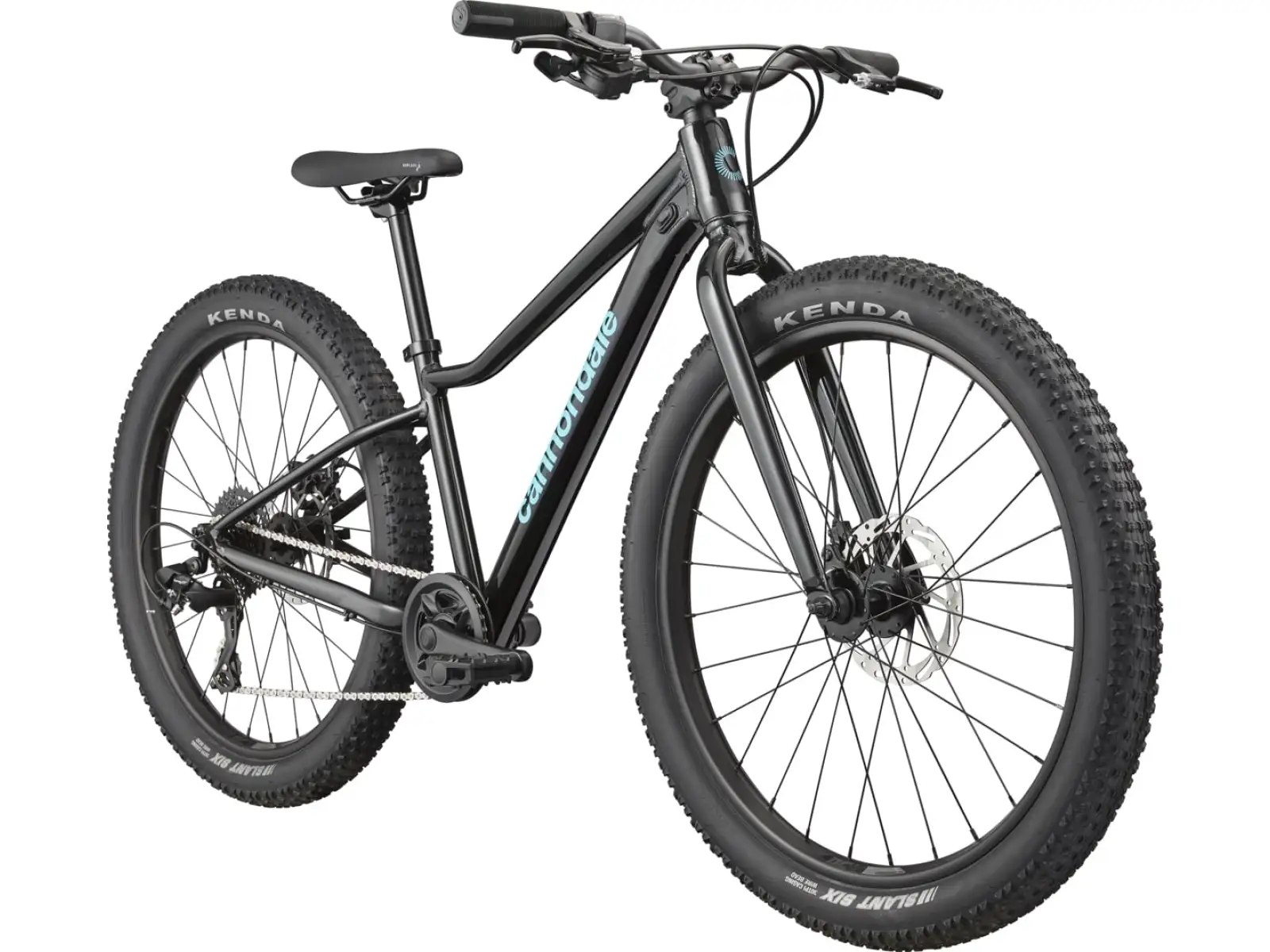 Cannondale Kids Trail Plus 24 children's bike Black Pearl