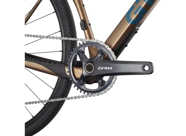 GT Grade Carbon Pro LE gravel bike BNZ