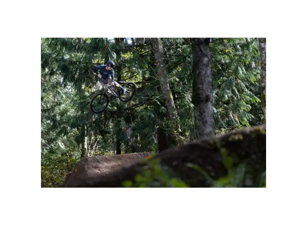 Giant STP 26 dirt bike Brush Aluminum
