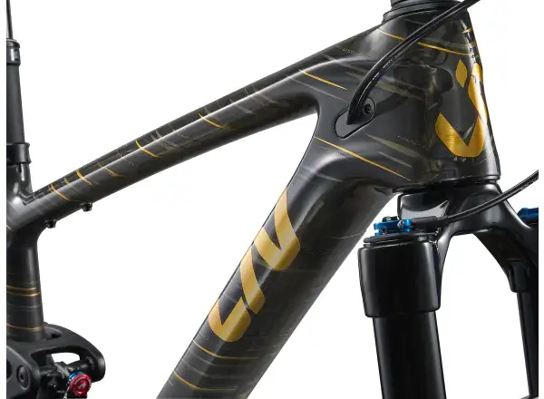 Liv Pique Advanced 29 1 mountain bike Raw Carbon